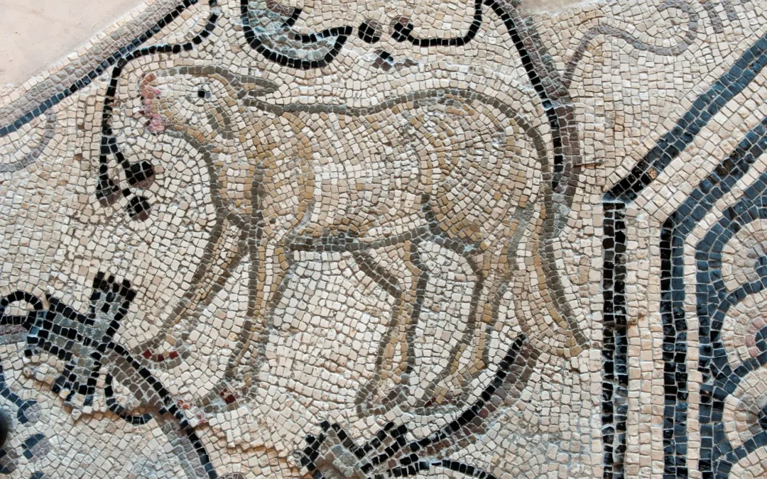 AVVISO PUBBLICO – MUSEO PALEOCRISTIANO